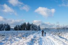 Sneeuwwandelingen Ardennen