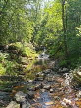 Wandeling langs de Hoegne vallei