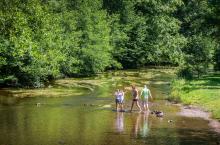 Openluchtzwemmen in de natuur