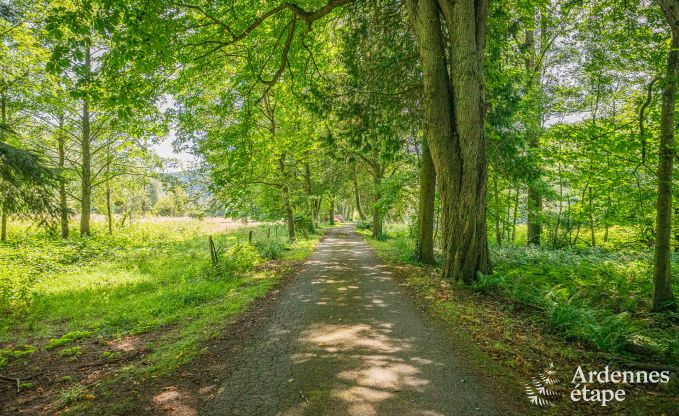 Cottage Aywaille Remouchamps 21 Pers. Ardennen Wellness Behinderten gerecht