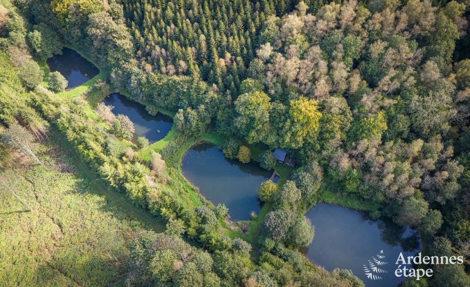 Luxurise Ferienvilla mit Sauna in Bertrix, Ardennen