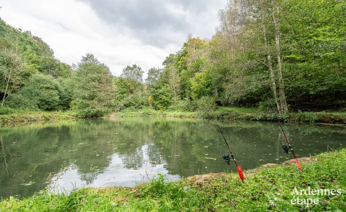 Luxusvilla Bertrix 15 Pers. Ardennen Wellness