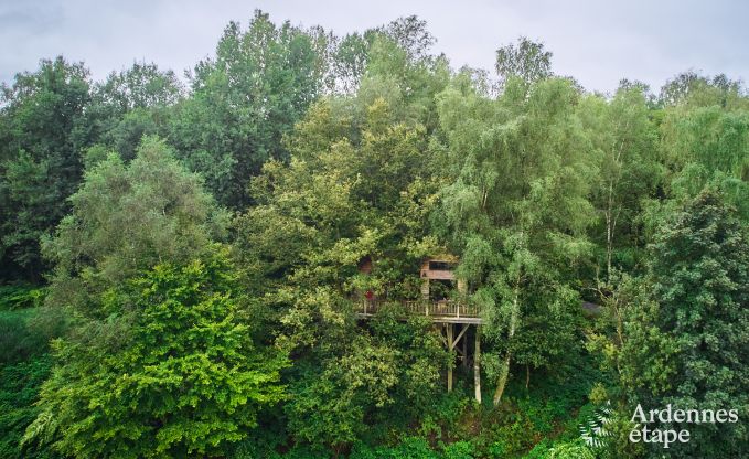 auergewhnliche Ferienwohnung Bertrix 4/6 Pers. Ardennen