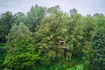 Baumhaus fr 4/6 Personen in den Ardennen (Bertrix)