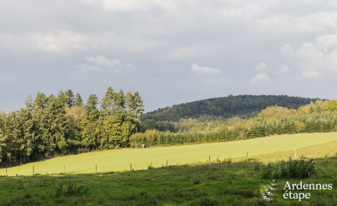 Cottage Dinant 12 Pers. Ardennen Schwimmbad