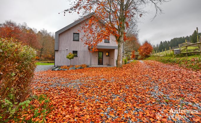 Ferienhaus Fauvillers 10 Pers. Ardennen