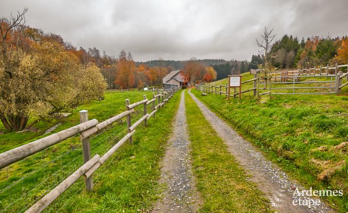 Ferienhaus Fauvillers 10 Pers. Ardennen