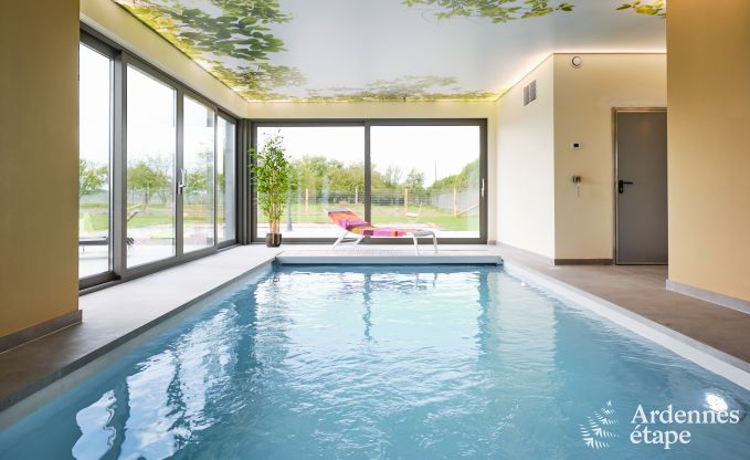 Ferienhaus mit Innenpool in Froidchapelle, Ardennen