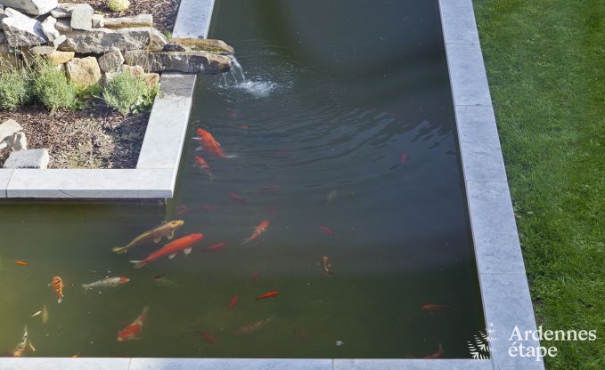 Luxusvilla Froidthier (Aubel) 10 Pers. Ardennen Schwimmbad Wellness