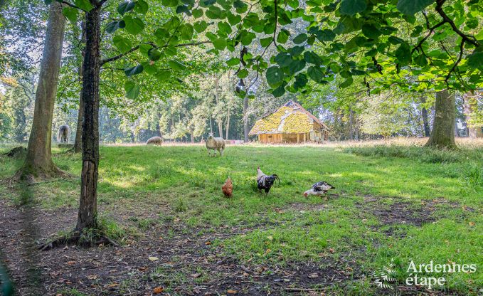 Gemtliches und hundefreundliches Ferienhaus fr 4 Personen in Gesves, Ardennen