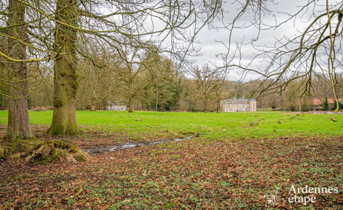 Gemtliches und hundefreundliches Ferienhaus fr 4 Personen in Gesves, Ardennen