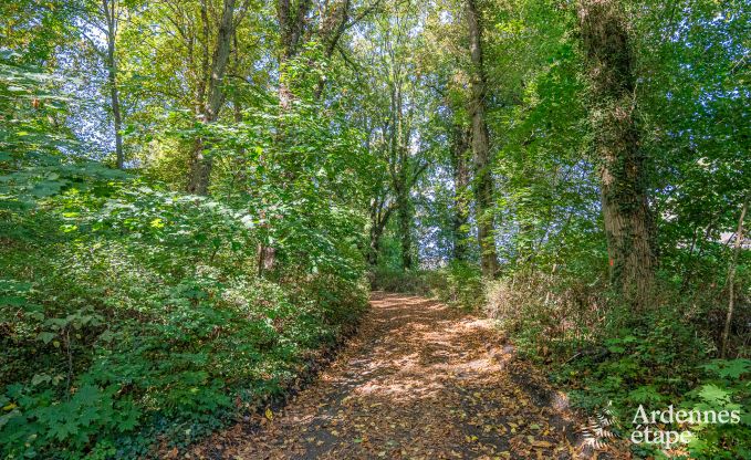 Gemtliches und hundefreundliches Ferienhaus fr 4 Personen in Gesves, Ardennen