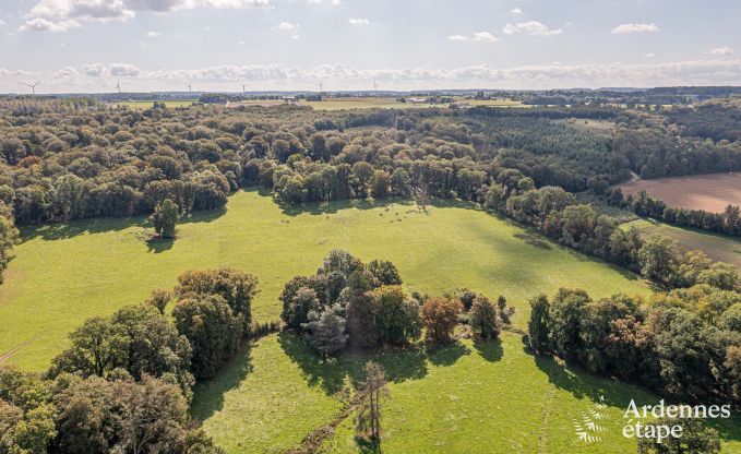 Gemtliches und hundefreundliches Ferienhaus fr 4 Personen in Gesves, Ardennen