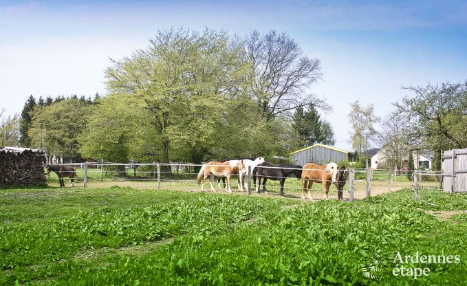 Ferienhaus Gouvy 23 Pers. Ardennen Wellness Behinderten gerecht