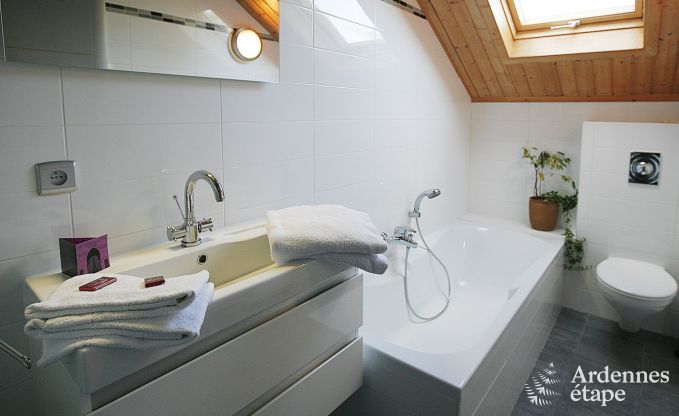 Ferienhaus Grandhan-Durbuy 4 Pers. Ardennen Schwimmbad Wellness