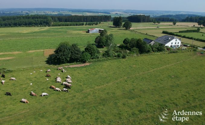 Ferienhaus Houffalize 10/12 Pers. Ardennen Wellness