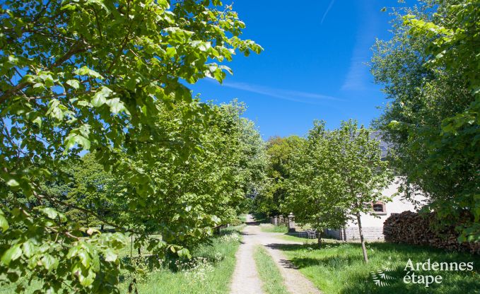 Ferienhaus Libramont-Chevigny 2 Pers. Ardennen