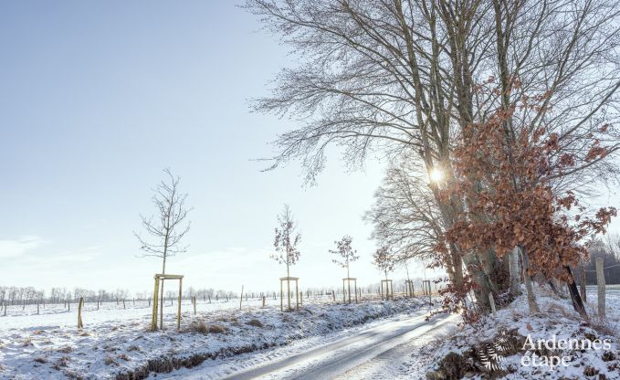 Chalet in Libramont: gerumiges Ferienhaus fr 20 Personen mit Spielzimmer, Garten und Grill in den Ardennen