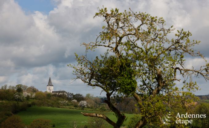 Komfortable Ferienvilla fr 14 in Limburg, Ardennen