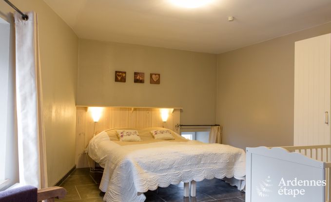 Ferienhaus Manhay 9 Pers. Ardennen Wellness