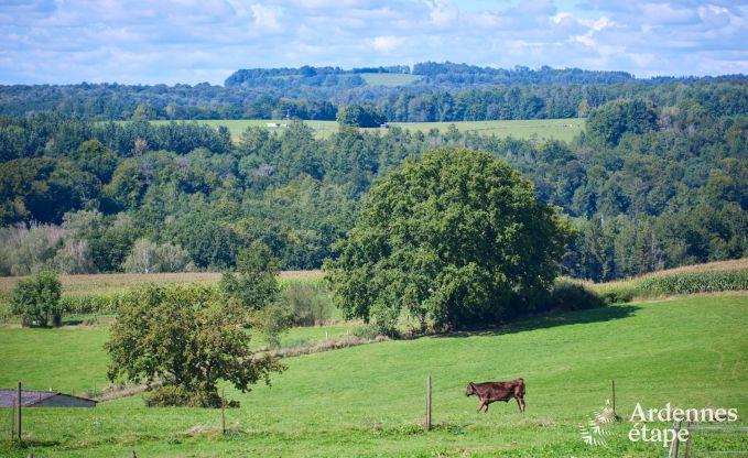 Chalet Margny 4/6 Pers. Ardennen Behinderten gerecht