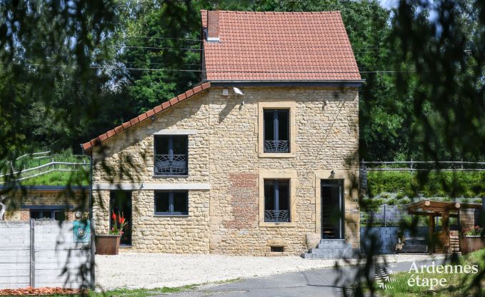 Ferienhaus Messincourt 8 Pers. Ardennen Wellness