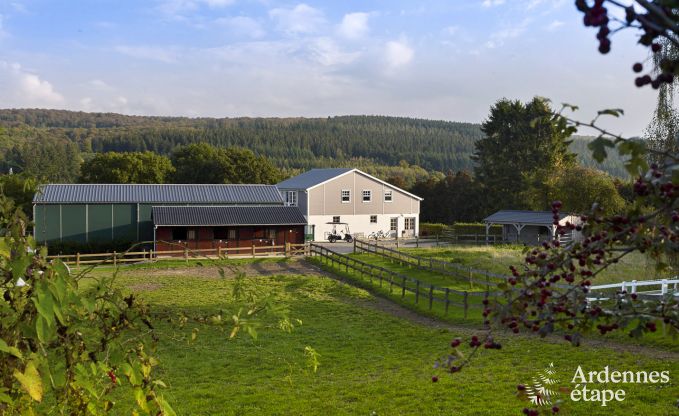 Urlaub auf dem Bauernhof Nassogne 4 Pers. Ardennen