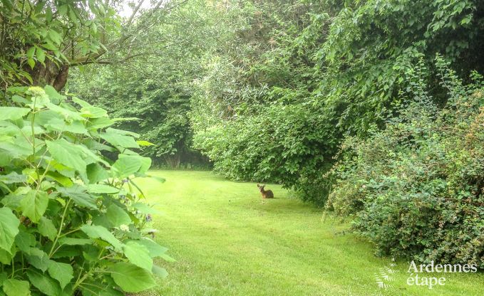 Cottage Oteppe 4 Pers. Ardennen Schwimmbad Wellness