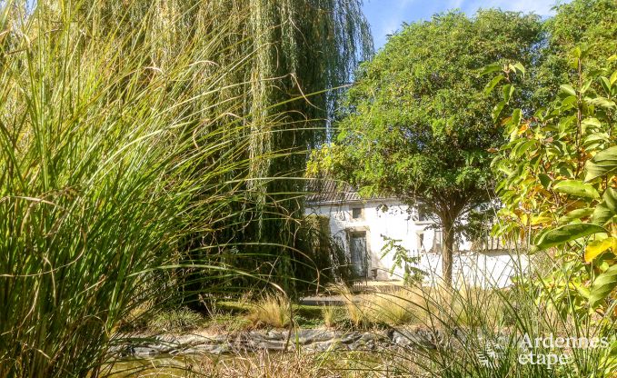 Ferienhaus Oteppe 2 Pers. Ardennen Schwimmbad Wellness