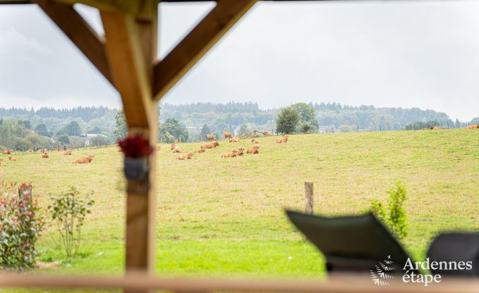 Ferienhaus Paliseul 8 Pers. Ardennen Wellness