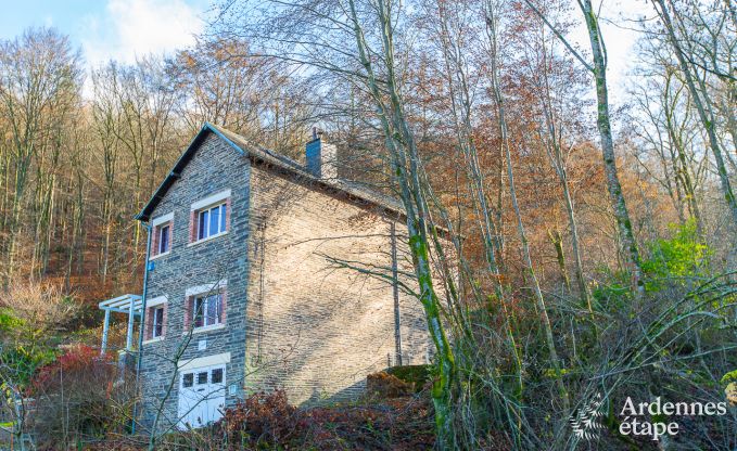 Ferienhaus in Poupehan fr 8 Personen in den Ardennen