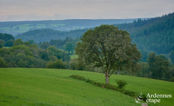 Gemtliches Chalet fr 4 Personen in Stavelot, Hohes Venn