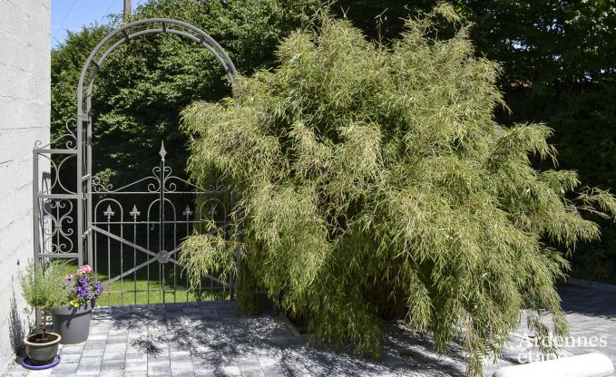 Ferienhaus Tenneville 6 Pers. Ardennen Behinderten gerecht