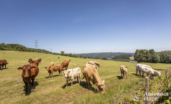 auergewhnliche Ferienwohnung Trois-Ponts 4 Pers. Ardennen Schwimmbad Wellness