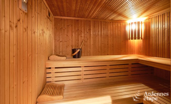 Luxurises Ferienhaus mit eigenem Wellnesscenter und Schwimmbad in Vaux-sur-Sre