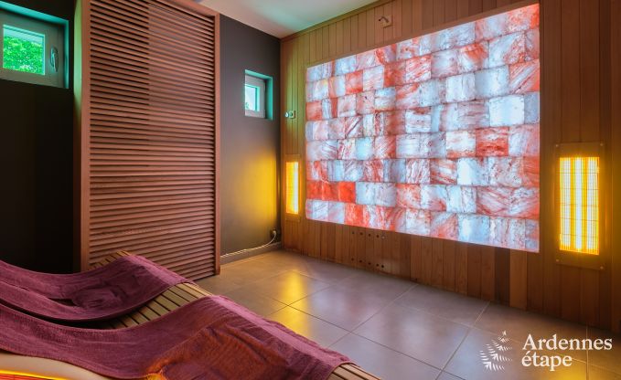 Wellness-Aufenthalt in Vaux-sur-Sre fr 8 Personen mit Spa, Pool und Blick auf die Ardennen