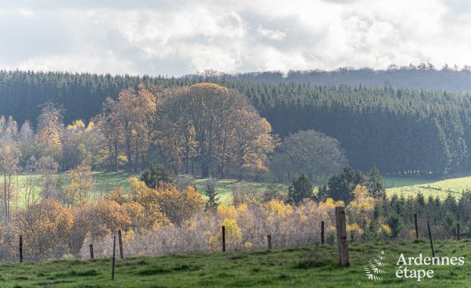 Chalet Vencimont 10 Pers. Ardennen Wellness