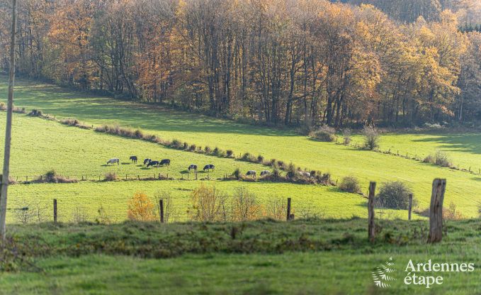 Chalet Vencimont 6 Pers. Ardennen Wellness