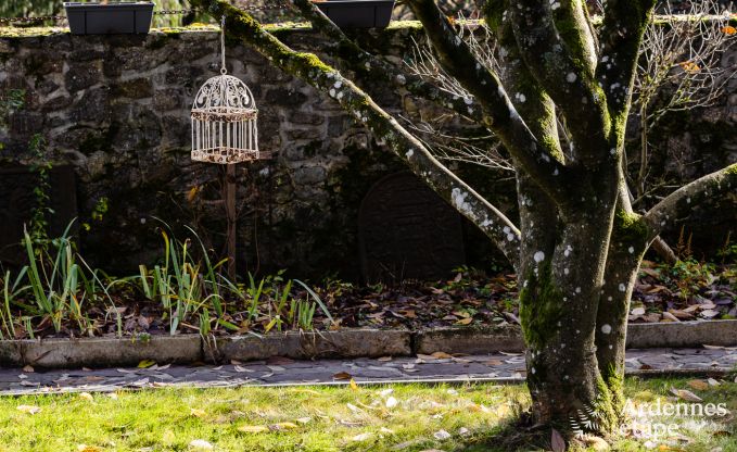 Ferienhaus Vierves-sur-Viroin 4 Pers. Ardennen Schwimmbad